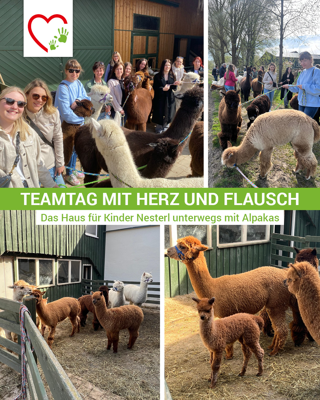 Müllbeutelt mit Handschuhe