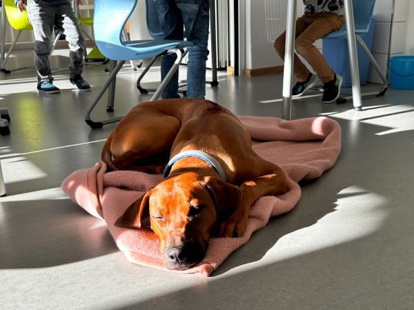 Kinderhort Mitterfels