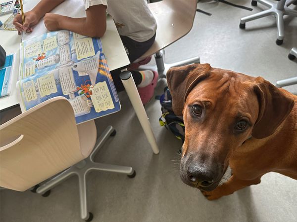 Kinderhort Mitterfels